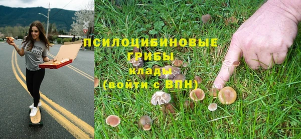 PSILOCYBIN Абаза