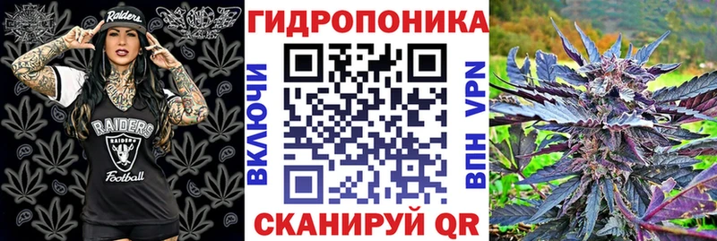 Каннабис Bruce Banner  где можно купить наркотик  Егорьевск 